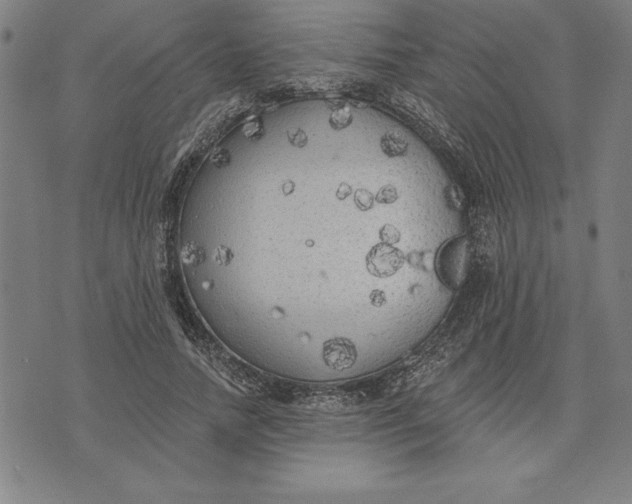 X0000071910738200607281828