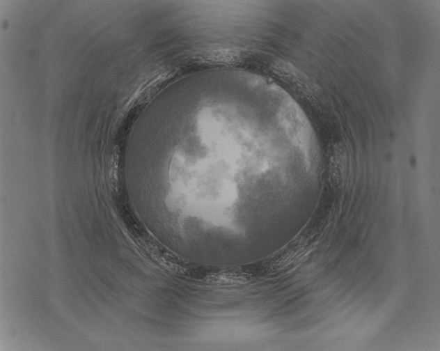 X0000071910739200607281828