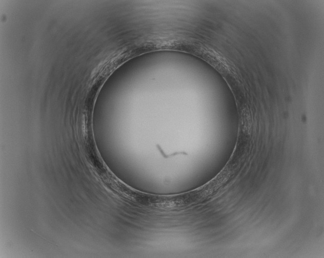 X0000071910740200607281828