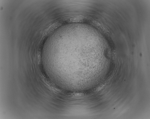 X0000071910741200607281828