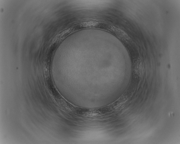 X0000071910743200607281828