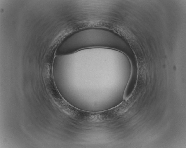 X0000071910744200607281828