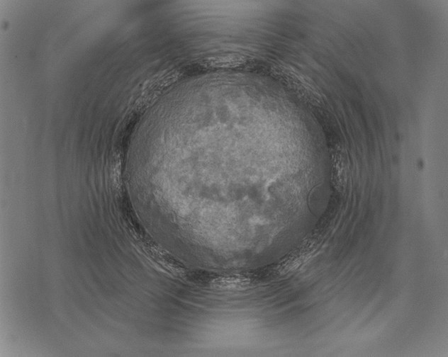 X0000071910745200607281828