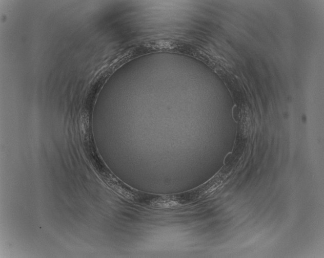 X0000071910747200607281828