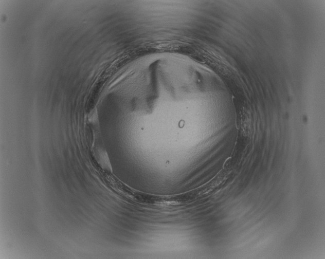 X0000071910748200607281828