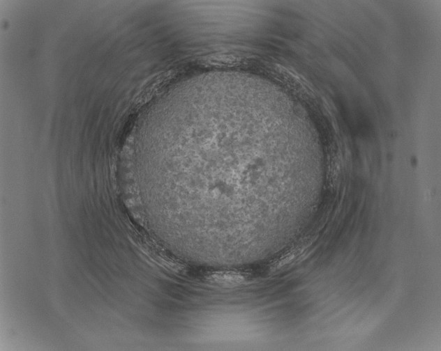 X0000071910749200607281828