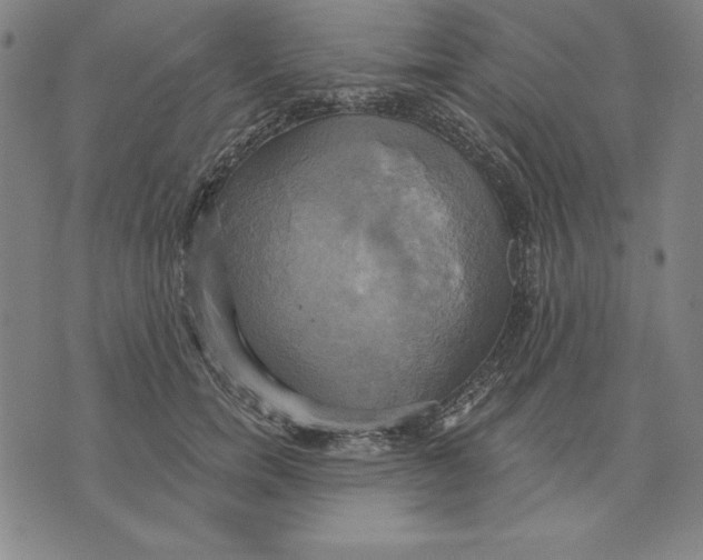 X0000071910750200607281828