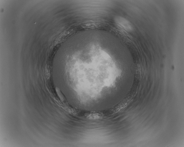 X0000071910751200607281828