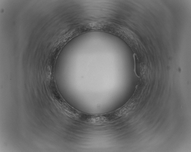 X0000071910752200607281828