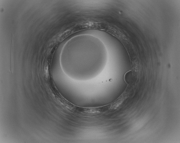 X0000071910754200607281828