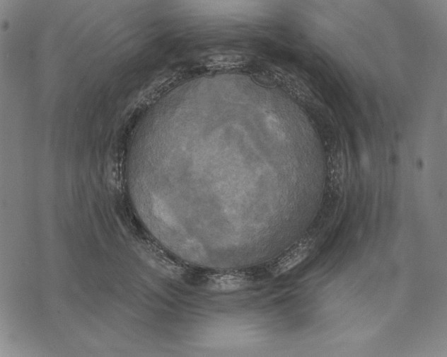 X0000071910755200607281828