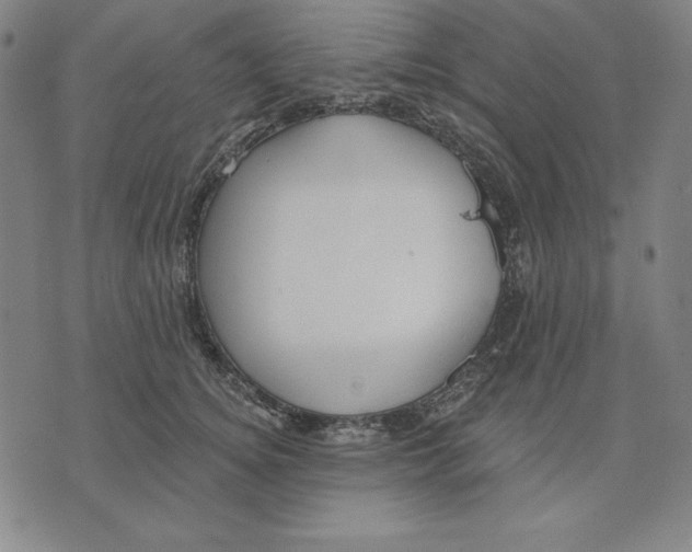 X0000071910756200607281828