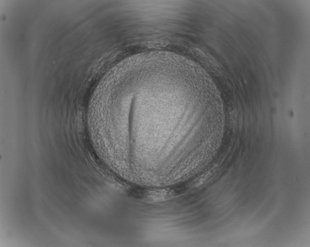 X0000071910757200607281828