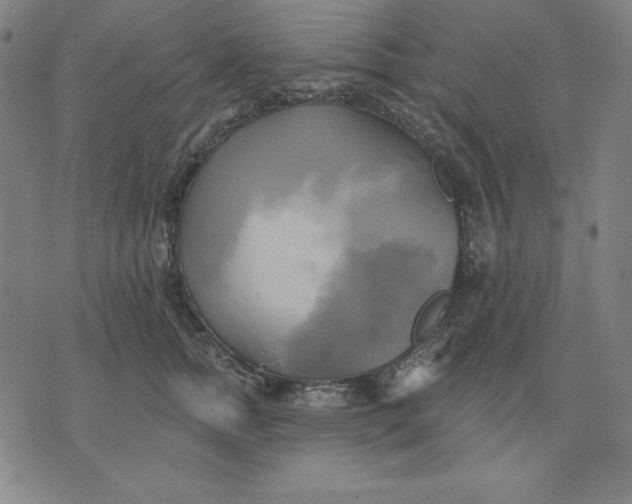 X0000071910758200607281828