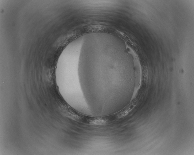 X0000071910759200607281828