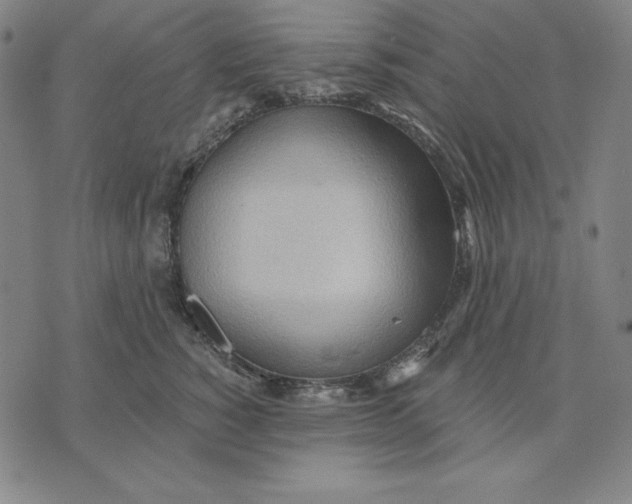 X0000071910760200607281828