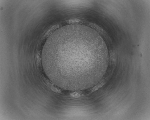 X0000071910761200607281828