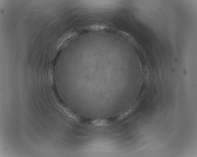 X0000071910762200607281828