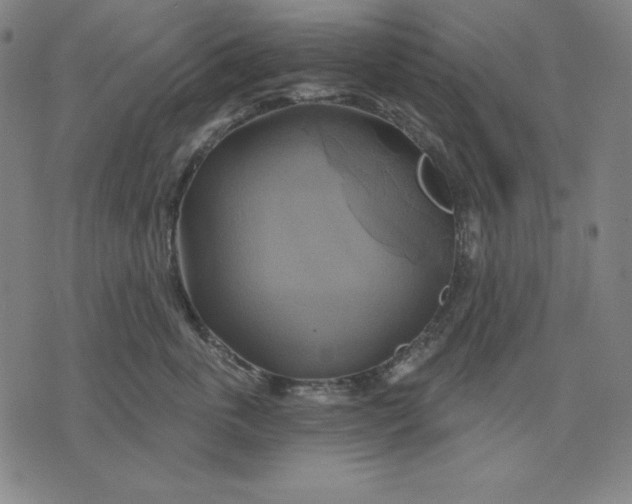 X0000071910763200607281828