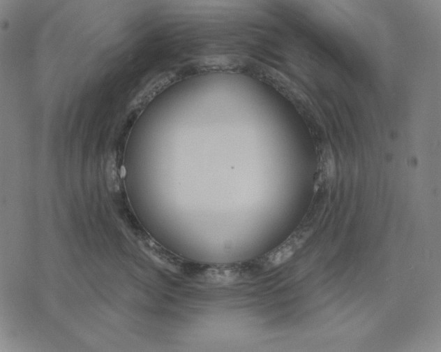 X0000071910764200607281828