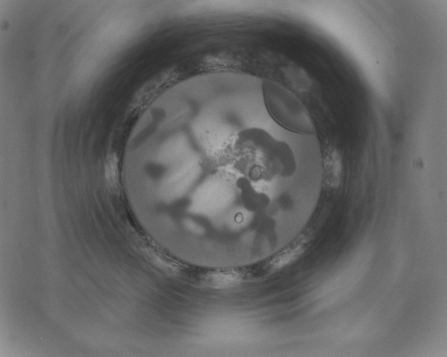 X0000071910765200607281828