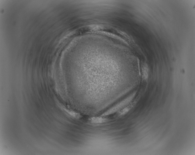 X0000071910766200607281828