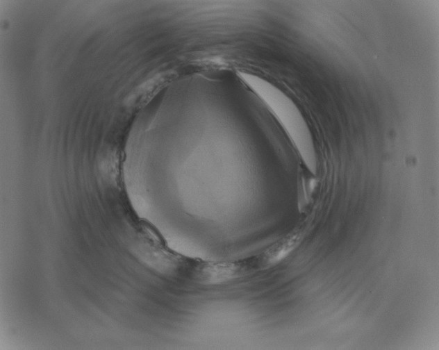 X0000071910767200607281828