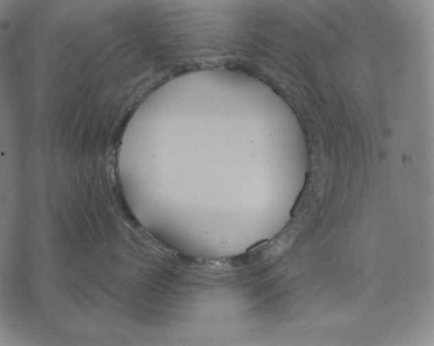 X0000071910768200607281828