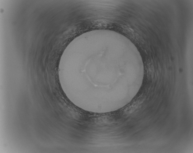 X0000071910769200607281827