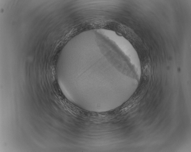 X0000071910772200607281827