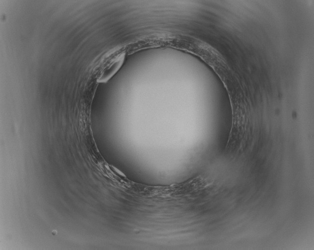 X0000071910773200607281827