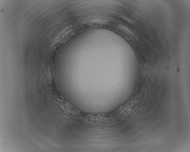 X0000071910774200607281827