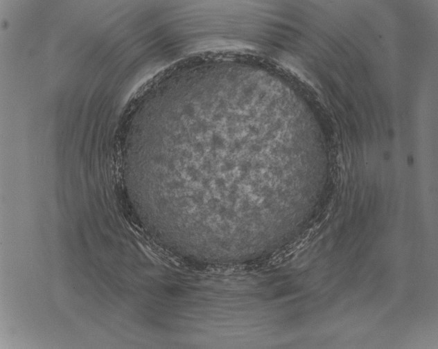 X0000071910775200607281827