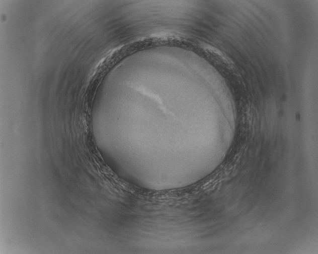 X0000071910776200607281827