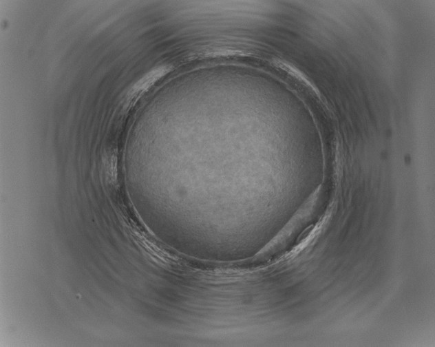 X0000071910777200607281827