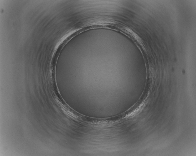 X0000071910779200607281827