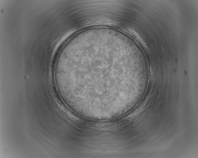 X0000071910780200607281827