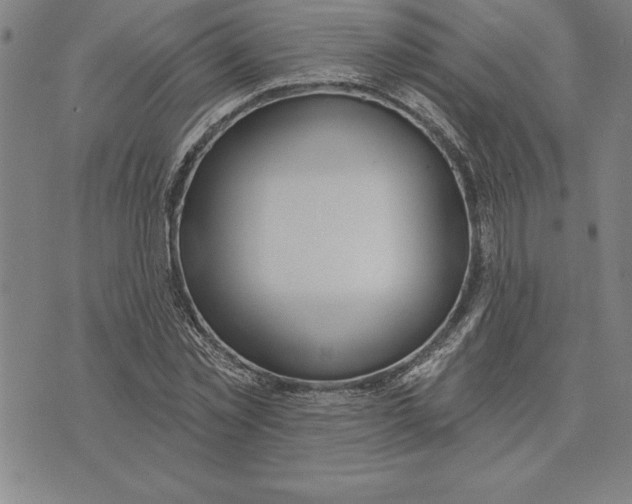 X0000071910781200607281827