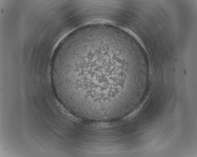 X0000071910783200607281827