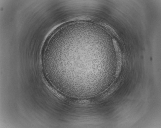 X0000071910784200607281827