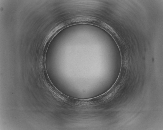 X0000071910786200607281827