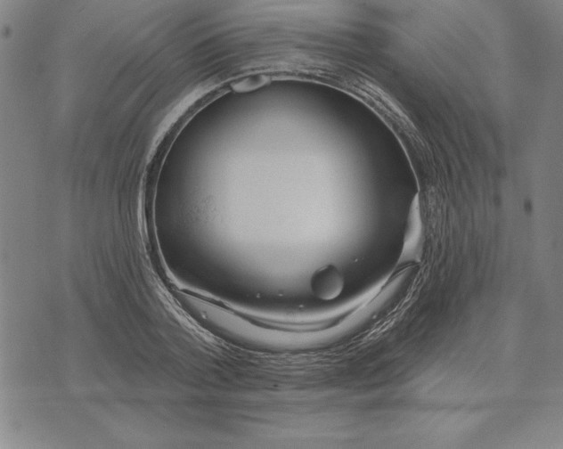 X0000071910788200607281827