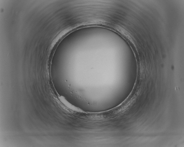 X0000071910789200607281827