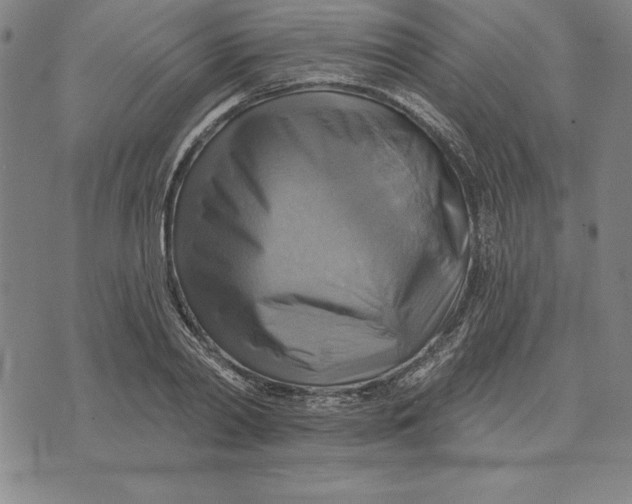 X0000071910790200607281827