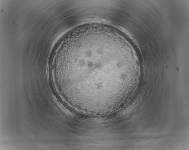 X0000071910791200607281827