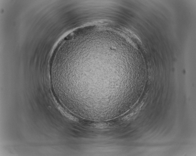 X0000071910792200607281827