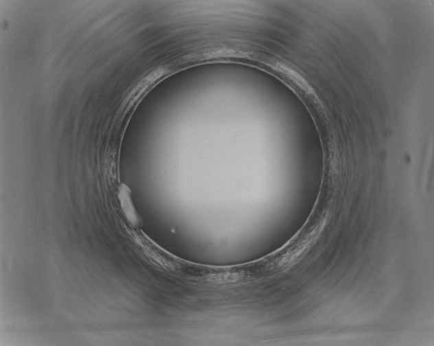 X0000071910793200607281827