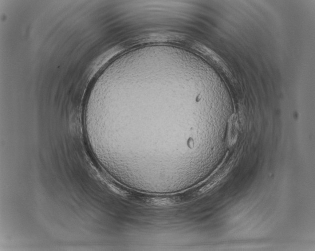 X0000071910794200607281827