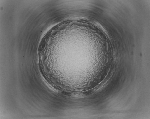 X0000071910795200607281827