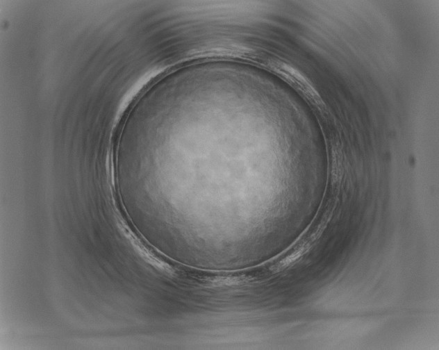 X0000071910796200607281827